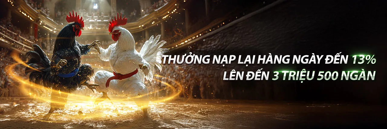 Sân đấu Đá gà CLB88 sôi động với những chiến kê mạnh mẽ