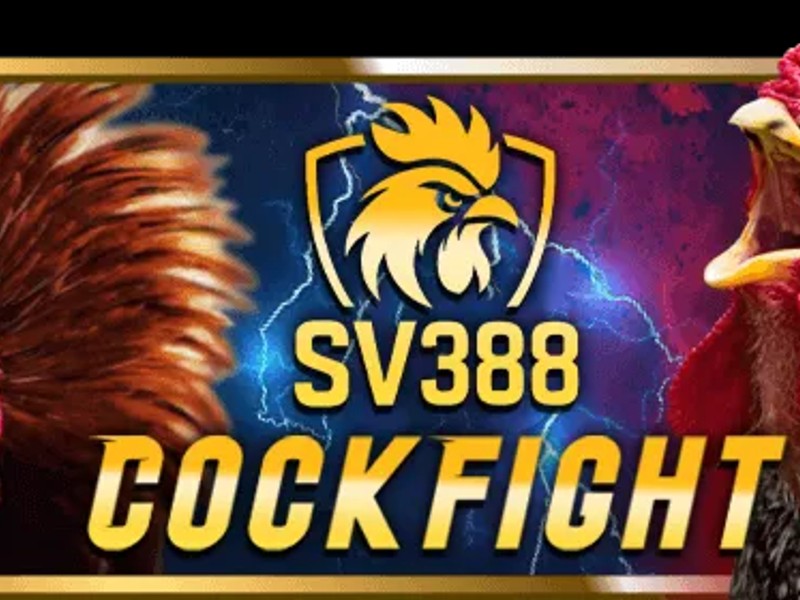 Đá gà trực tuyến CLB88